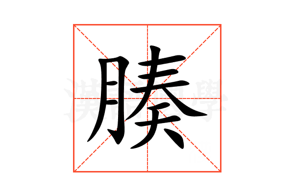 腠