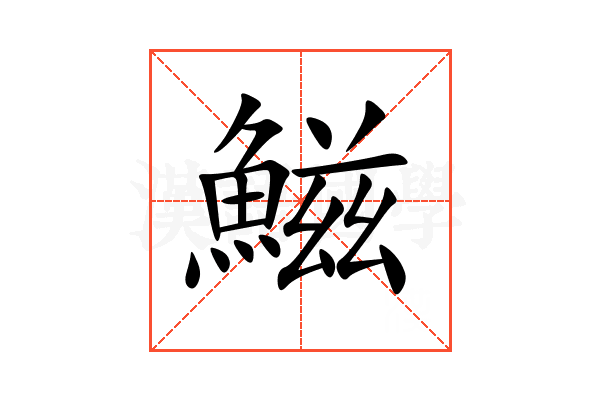 鰦